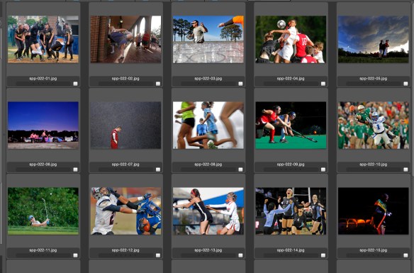 1st PLACE SPORTS PORTFOLIO: Jonathon Gruenke, Daily Press