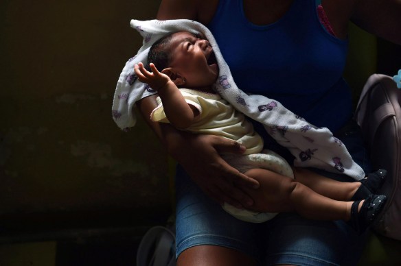 Zika Virus in Brazil - Recife, Brazil